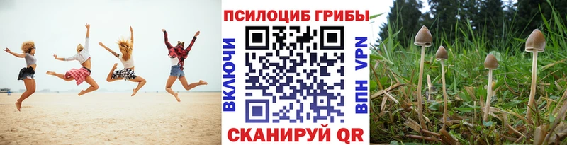 Псилоцибиновые грибы прущие грибы  купить закладку  Знаменск 