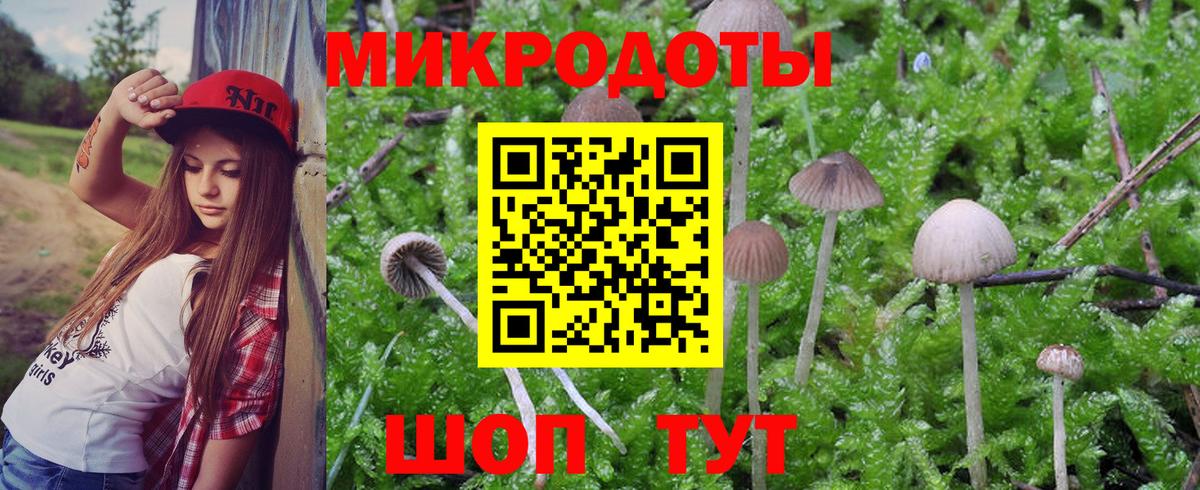 Галлюциногенные грибы мицелий  Галлюциногенные грибы прущие грибы  Вход с VPN  Знаменск 