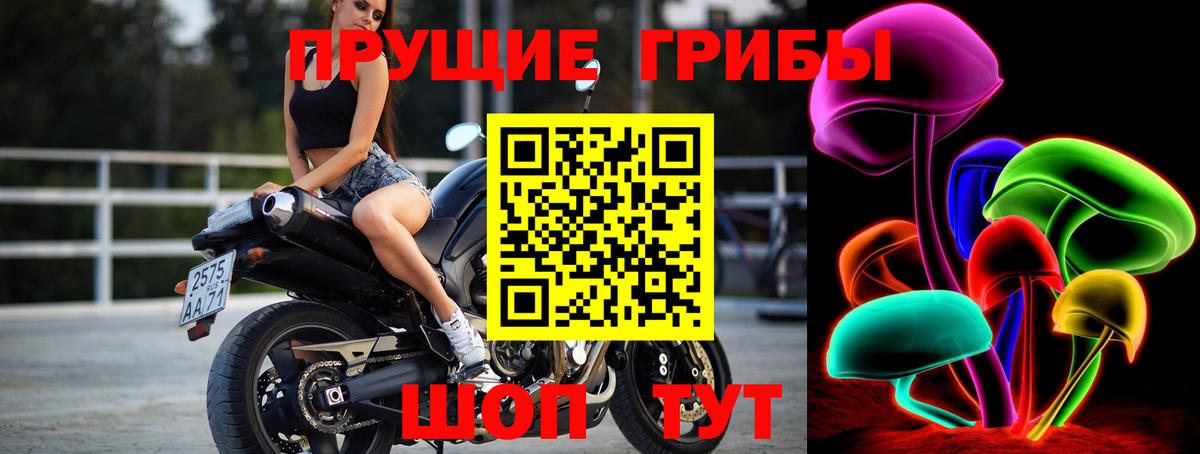 Галлюциногенные грибы GOLDEN TEACHER  купить  цена  Галлюциногенные грибы GOLDEN TEACHER  Знаменск 