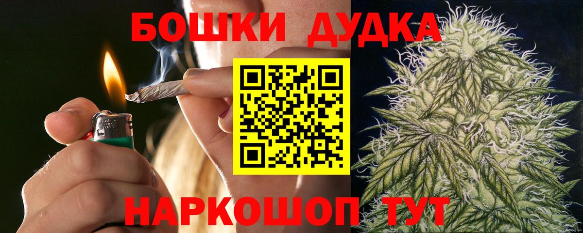 Каннабис семена  Конопля OG Kush  Вход с VPN  Знаменск  МАРИХУАНА SATIVA & INDICA 