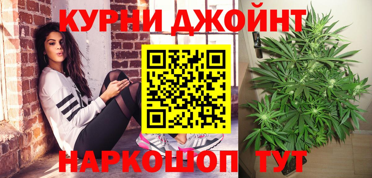 Конопля план  Знаменск  Каннабис LSD WEED  Конопля White Widow 